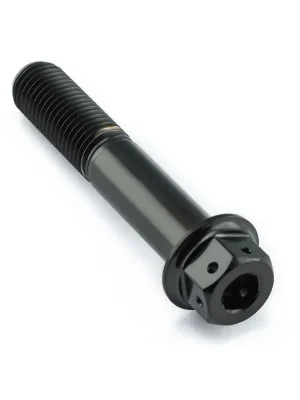Cenová Bomba Pro-Bolt titanový šroub s DualDrive hlavou (šestihran + inbus) se závitem M10 x 1,25 mm a délkou 55 mm, barva černá