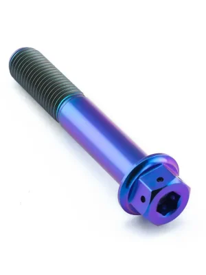 Autentický Pro-Bolt titanový šroub s DualDrive hlavou (šestihran + inbus) se závitem M10 x 1,25 mm a délkou 60 mm, barva opálená fialová