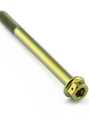 Akce Pro-Bolt titanový šroub s DualDrive hlavou (šestihran + inbus) se závitem M6 x 1,00 mm a délkou 70 mm, barva zlatá