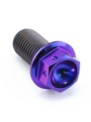 Tovární Cena Pro-Bolt titanový šroub s šestihrannou hlavou se závitem M10 x 1,25 mm a délkou 20 mm, barva opálená fialová
