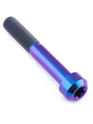 Akční Cena Pro-Bolt titanový torx šroub s cylindrickou hlavou se závitem M10 x 1.25mm a délkou 65mm, barva opálená fialová