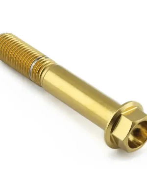 Cenově Výhodný Pro-Bolt nerezový šroub s šestihrannou hlavou se závitem M10 x 1,25 mm a délkou 60 mm, barva leštěná