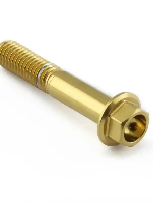 Zlevněný Pro-Bolt nerezový šroub s šestihrannou hlavou se závitem M8 x 1,25 mm a délkou 45 mm, barva zlatá