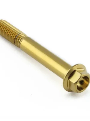 Cenový Hit Pro-Bolt nerezový šroub s šestihrannou hlavou se závitem M8 x 1,25 mm a délkou 60 mm, barva zlatá