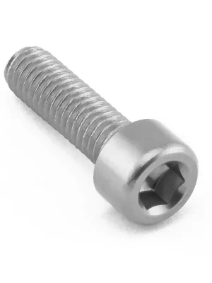 Vrácení Zdarma Pro-Bolt hliníkový inbusový šroub s válcovou hlavou se závitem M6 x 1,00 mm a délkou závitu 20 mm, barva stříbrná