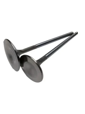 Nová Kolekce Intake valves BC Brian Crower BC3604 33mm for Toyota 1JZ