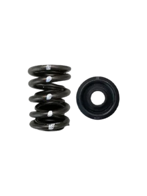 Dual Spring Steel Retainer Kit BC Brian Crower BC0020S Honda B18A B18B B20B Novinka
