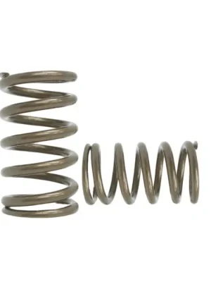Ověřený Ventilové pružiny Kelford Cams Toyota 3S-GE Gen 2 3 4